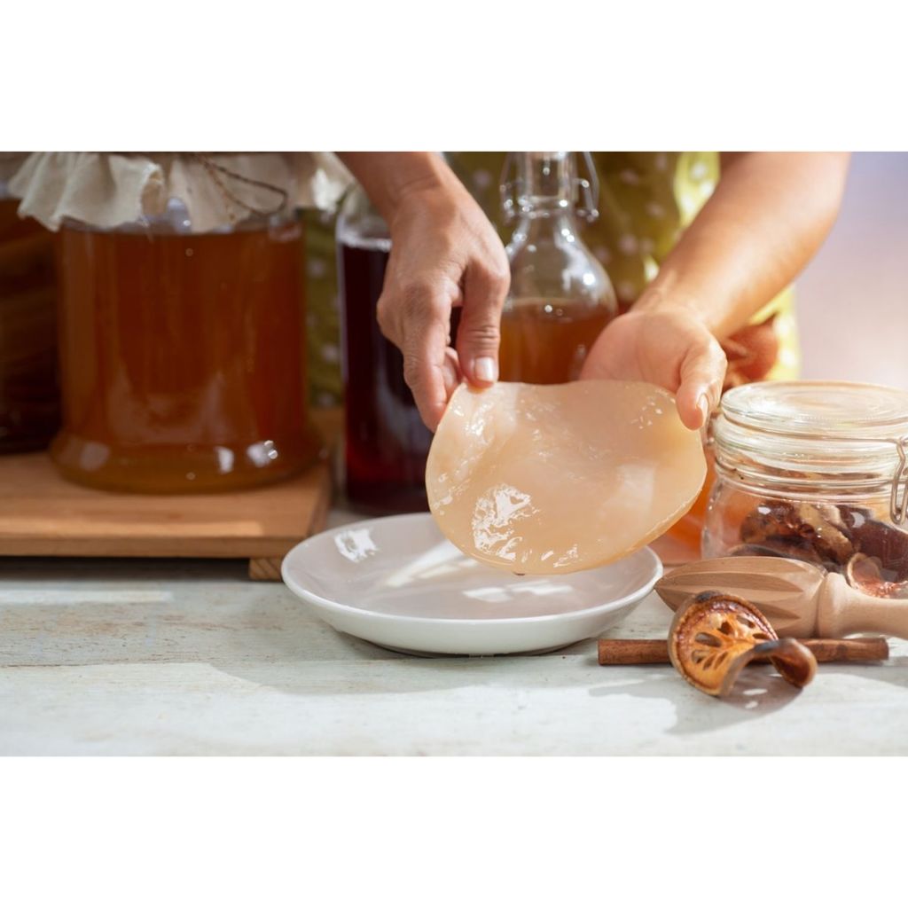 

Scoby Kombucha Besar Diameter 10 cm | Starter Fermentasi 2–3 Liter Kombucha