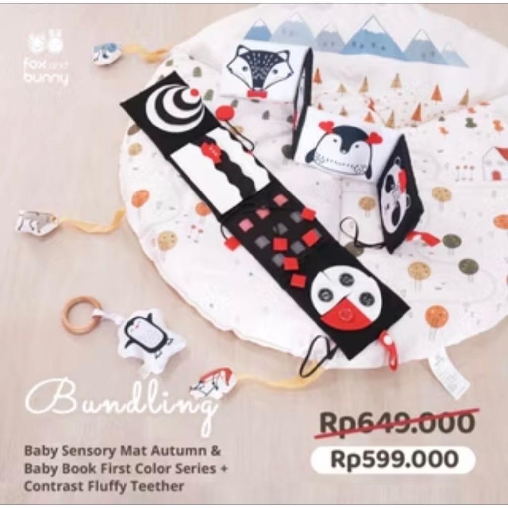 PRELOVED LIKE NEW FOX AND BUNNY BABY MATT