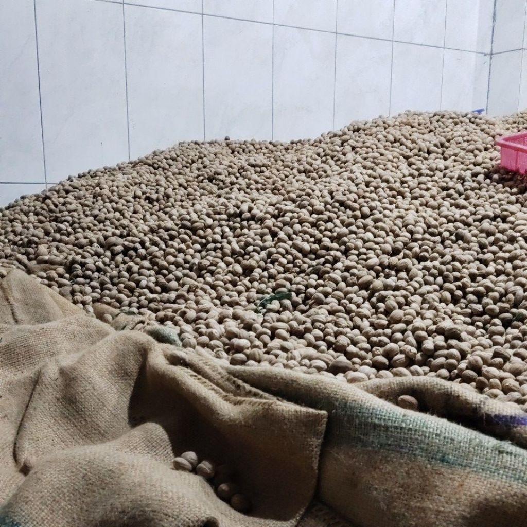 

PALA PREMIUM HARGA MURAH