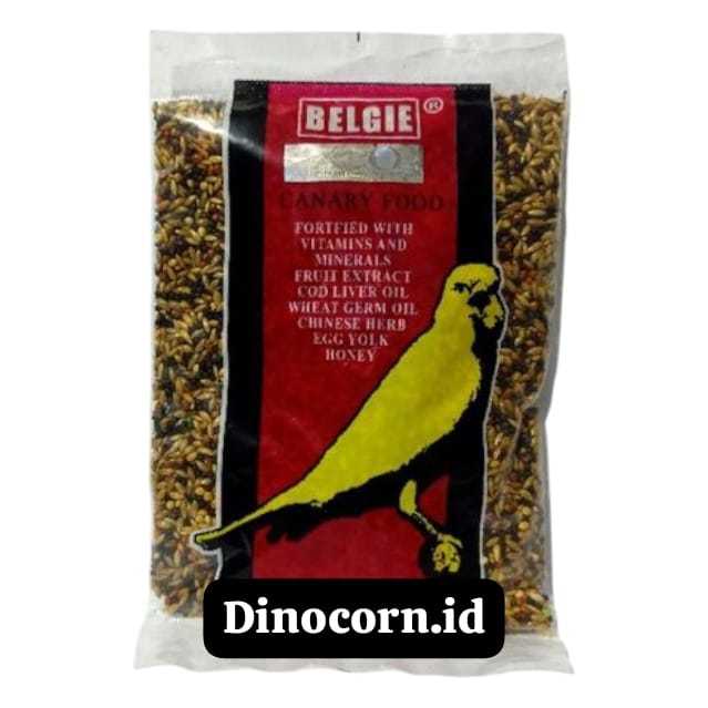 BELGIE KENARI PAKAN MAKANAN HARIAN KENARI GACOR PAKAN KENARI JUARA BELGIE XO