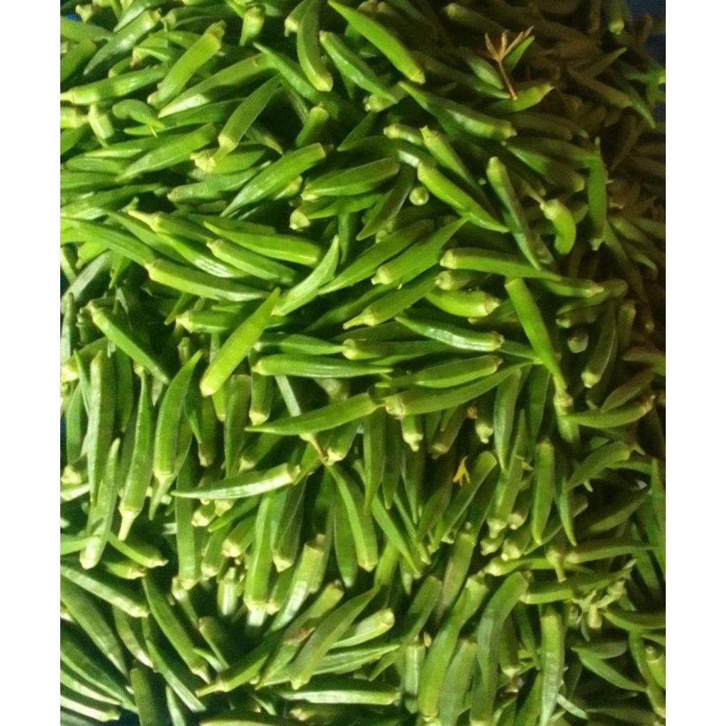 

Sayur okra