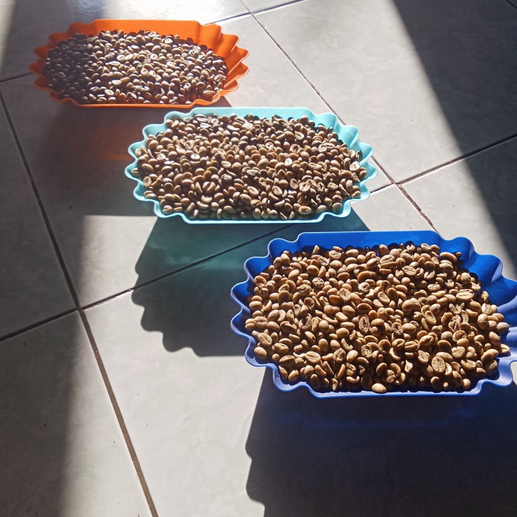 

biji robusta temanggung g1