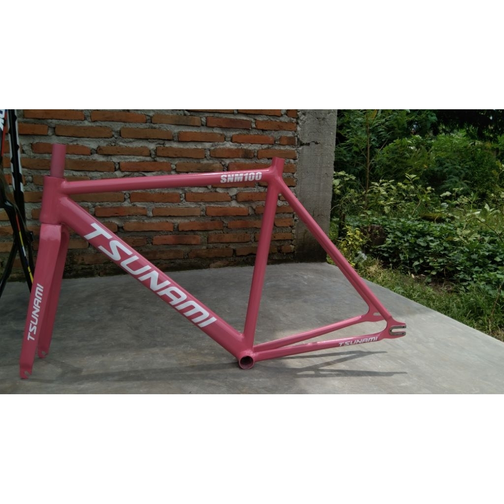 frameset tsunami custom steel