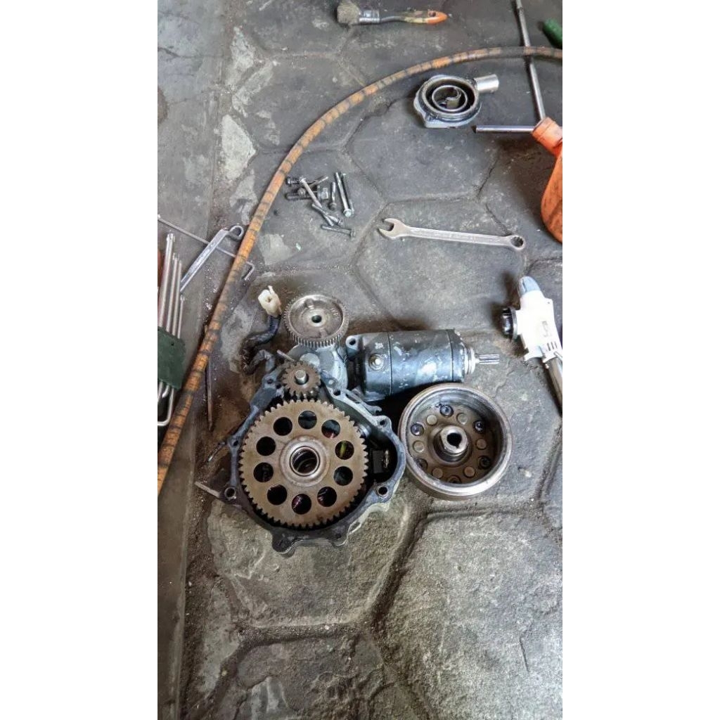 dobel stater Tiger set