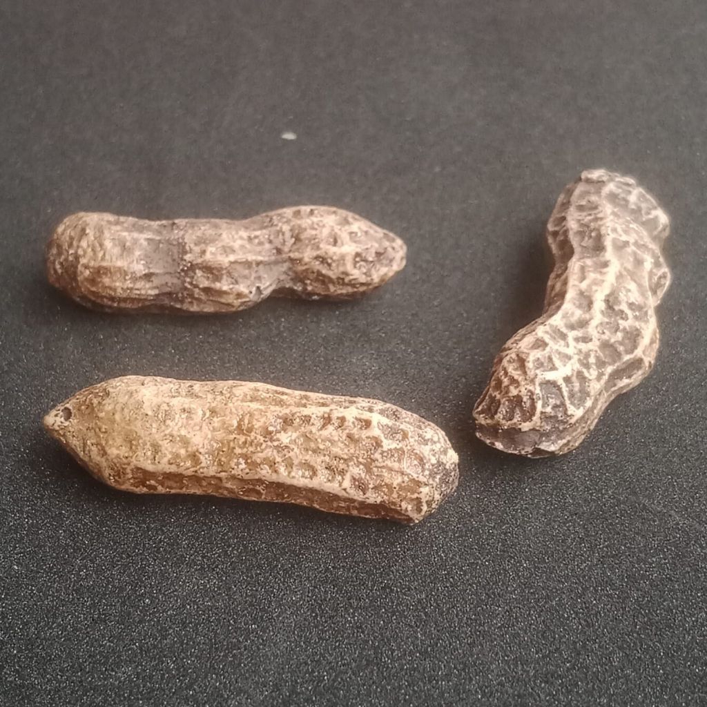 

3pcs POSIL KACANG BATU. ATAU BATU KACANG AKIK KACANG