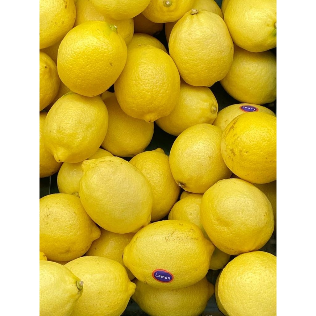 

lemon segar 1kg