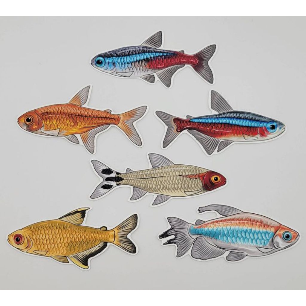 

STIKER NEON TETRA 10 BIJI