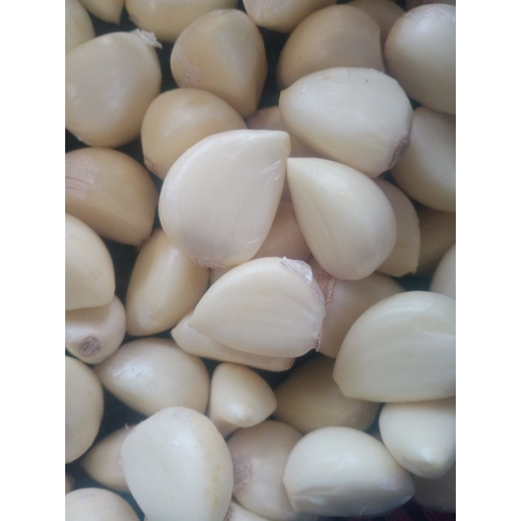 

Bawang Putih Kating Kupas