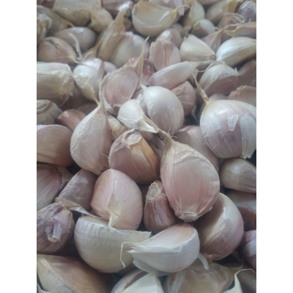 

Bawang Putih Kating Super