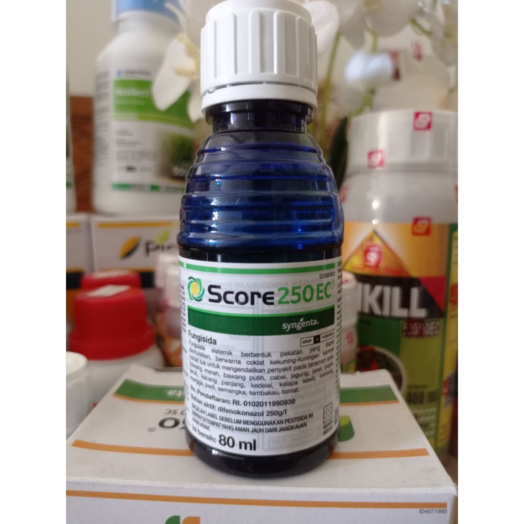 Score 80 ml