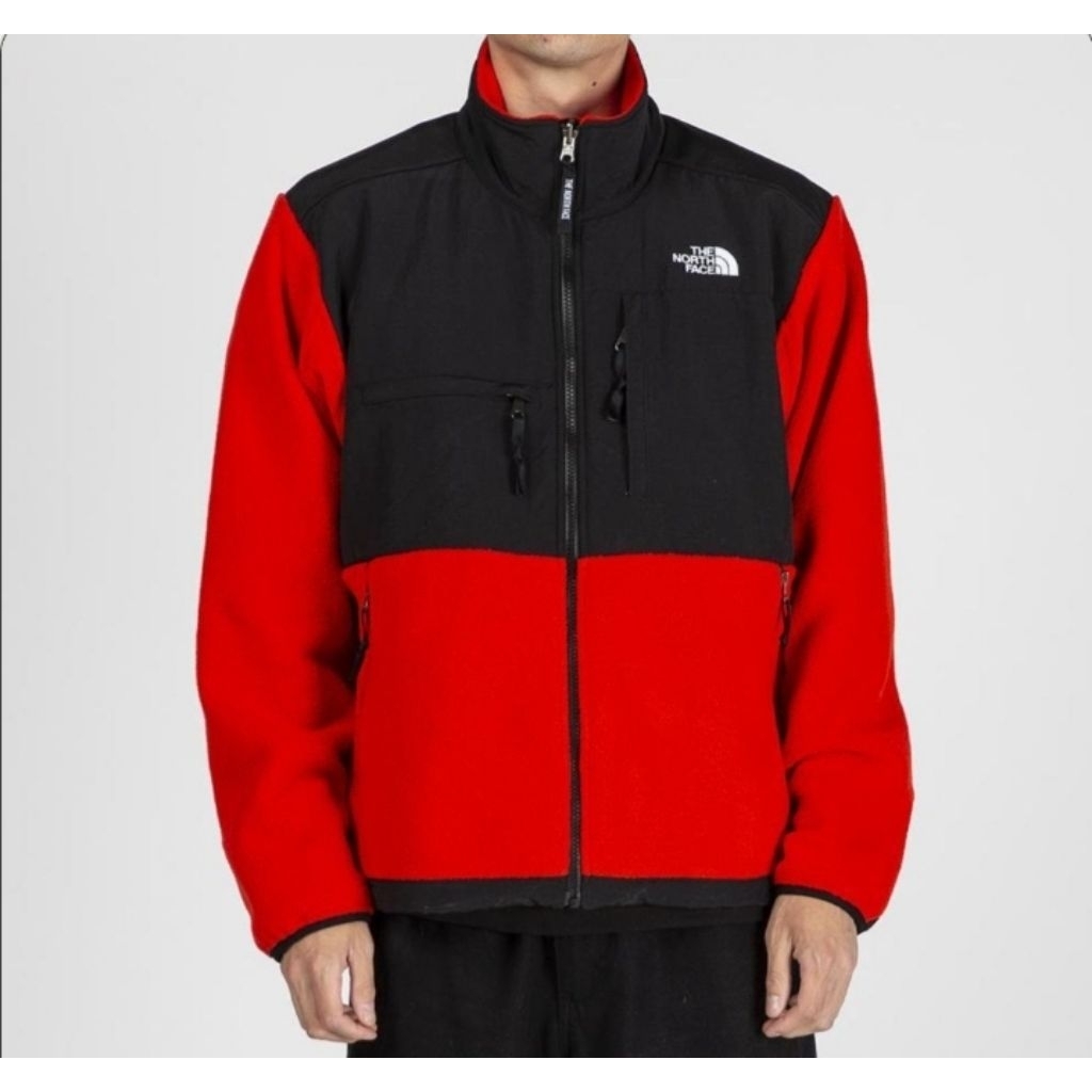 the north face jacket