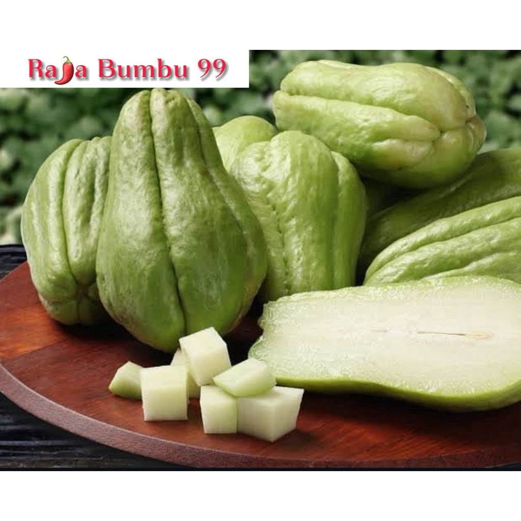 

Labusiam Besar Segar – Per 1 Pcs