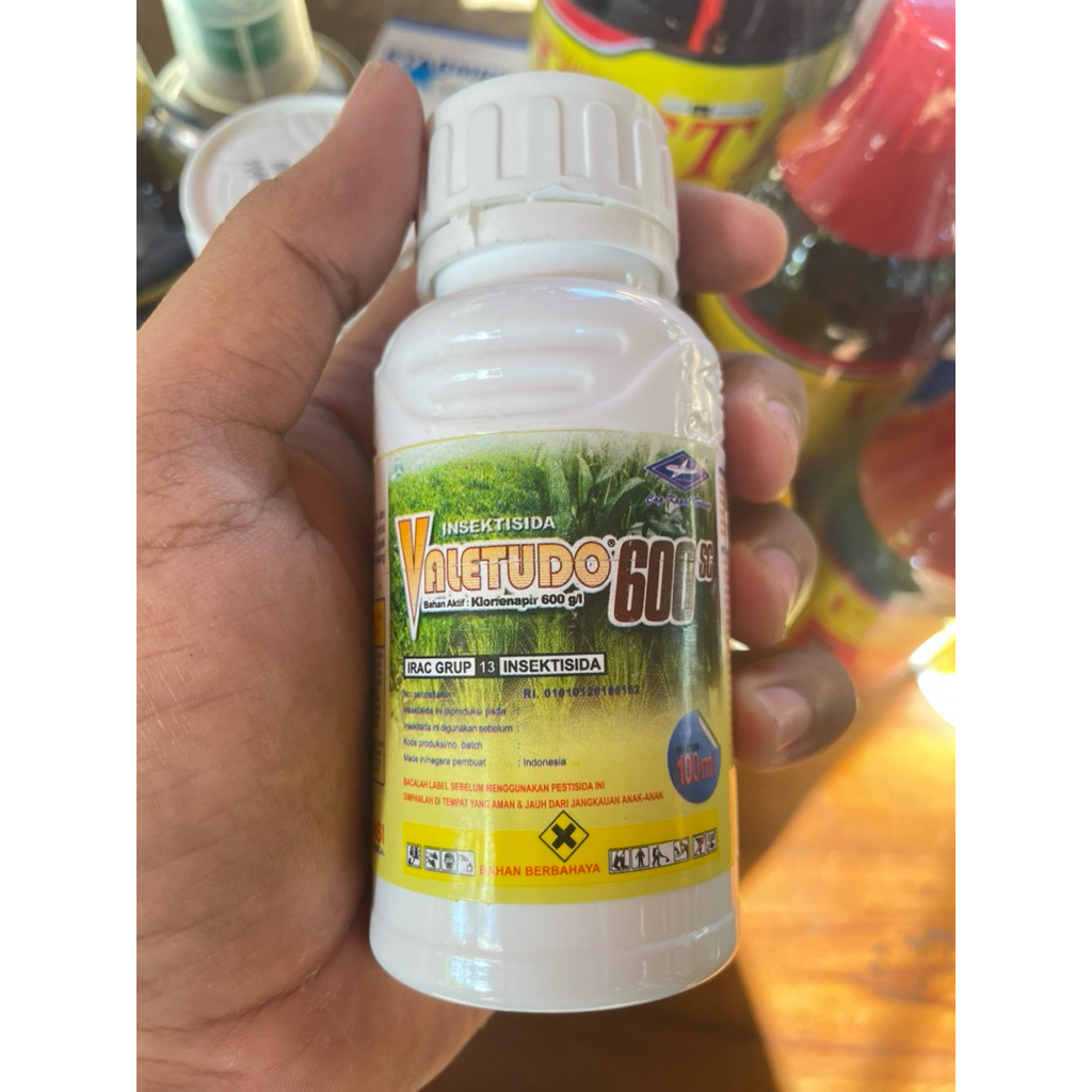Insektisida Valetudo 600 SC 100 ML