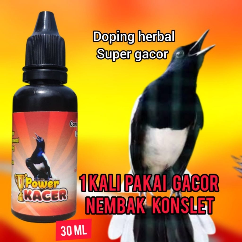 vitamin penggacor kacer konslet , power kacer bikin Kacer gacor juara cocok untuk Kacer bahan dan ma