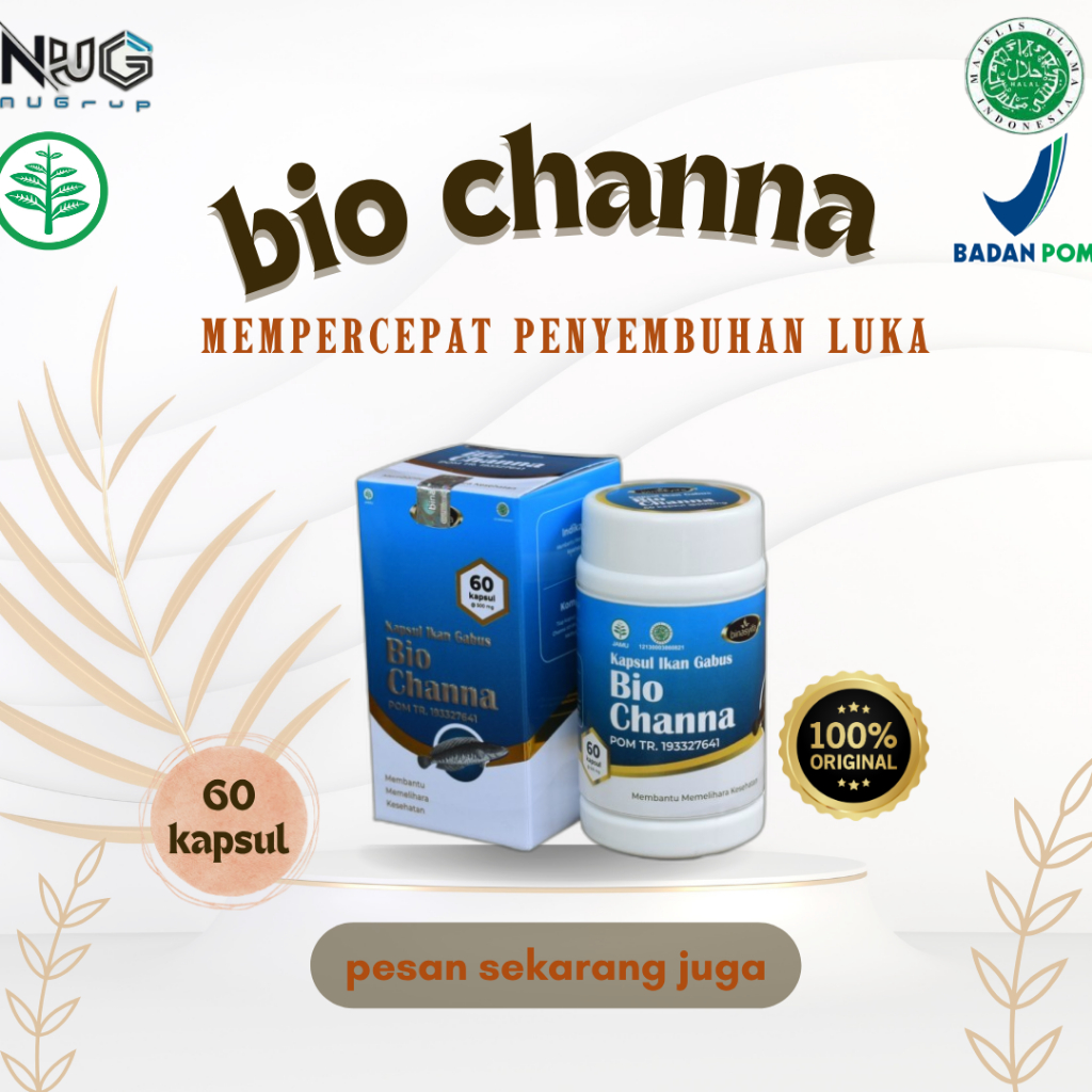 BIOCHANNA Kapsul Albumin Ekstrak Ikan Gabus Obat Luka Pasca Operasi Kapsul Ekstrak Ikan Gabus