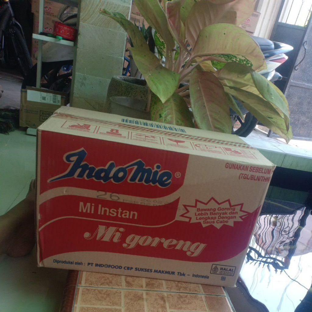 

INDOMIE GORENG 1 CTN
