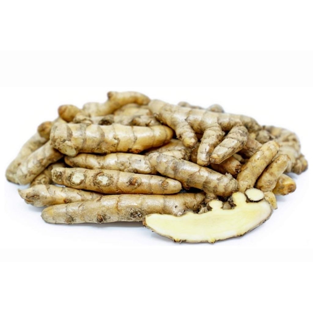 

KUNYIT PUTIH ATAU TEMU PUTIH SEGAR ORGANIK