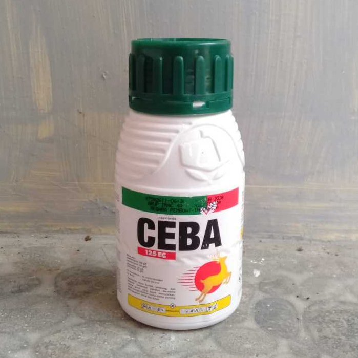 Insektisida Racun Kontak, Lambung, Sistemik CEBA 125 EC (asetamiprid 100g/l + abamektin 25g/l)