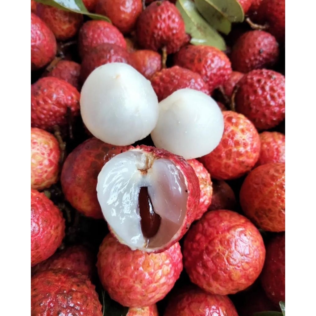 

Leci Merah/ Buah Leci / Buah Segar Bandung