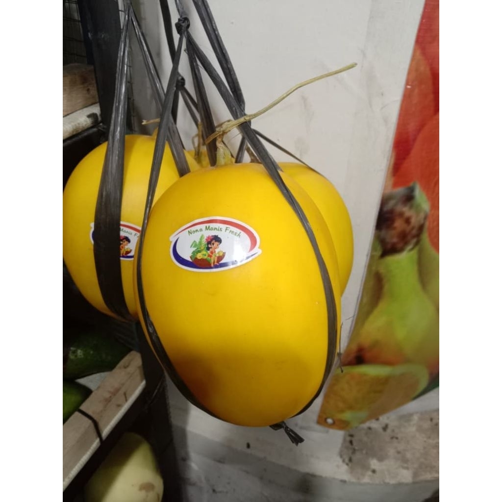 

melon golden/kg