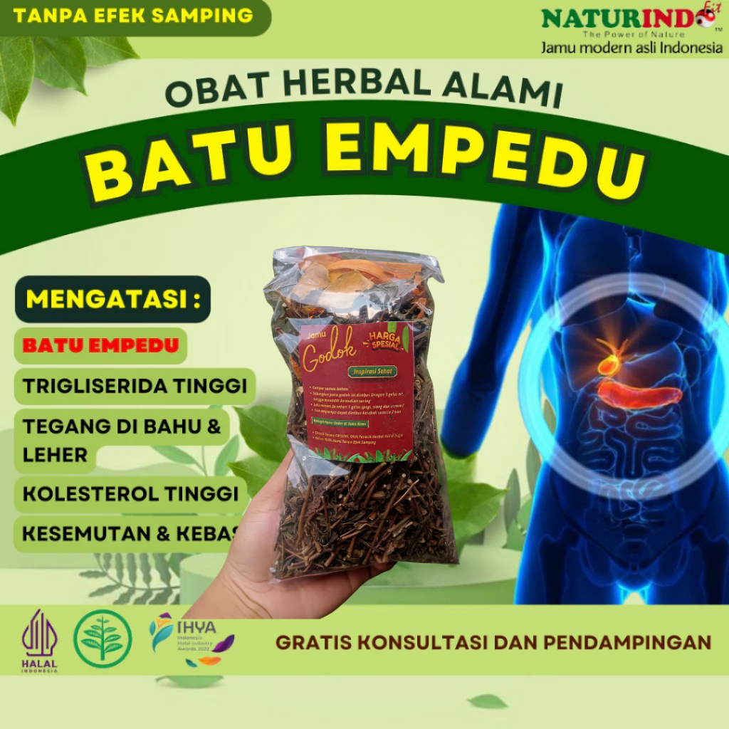 Obat Herbal Penghancur Batu Empedu Peluruh Batu Empedu Tanpa Operasi jamu