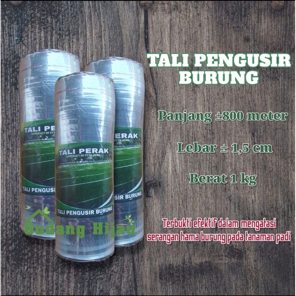 Tali perak pengusir burung tali pengusir burung pipit pada tanaman padi