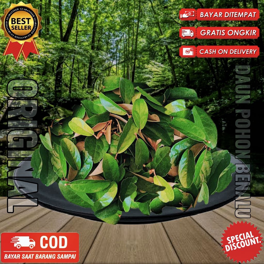 

Daun benalu Pohon benalu segar fresh dipetik dadakan 250gr