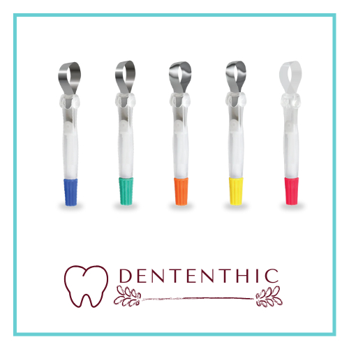 Dental retainer and matrix band / Promatrix / Dental matrix pro matrix