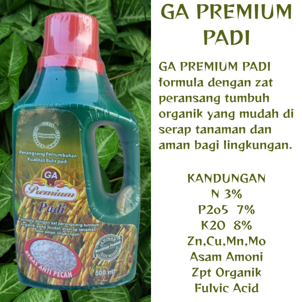 GA PREMIUM PADI Kemasan 500 Ml -Pupuk Organik Premium -ZPT Untuk Tanaman Padi - Pemicu Pertumbuhan B