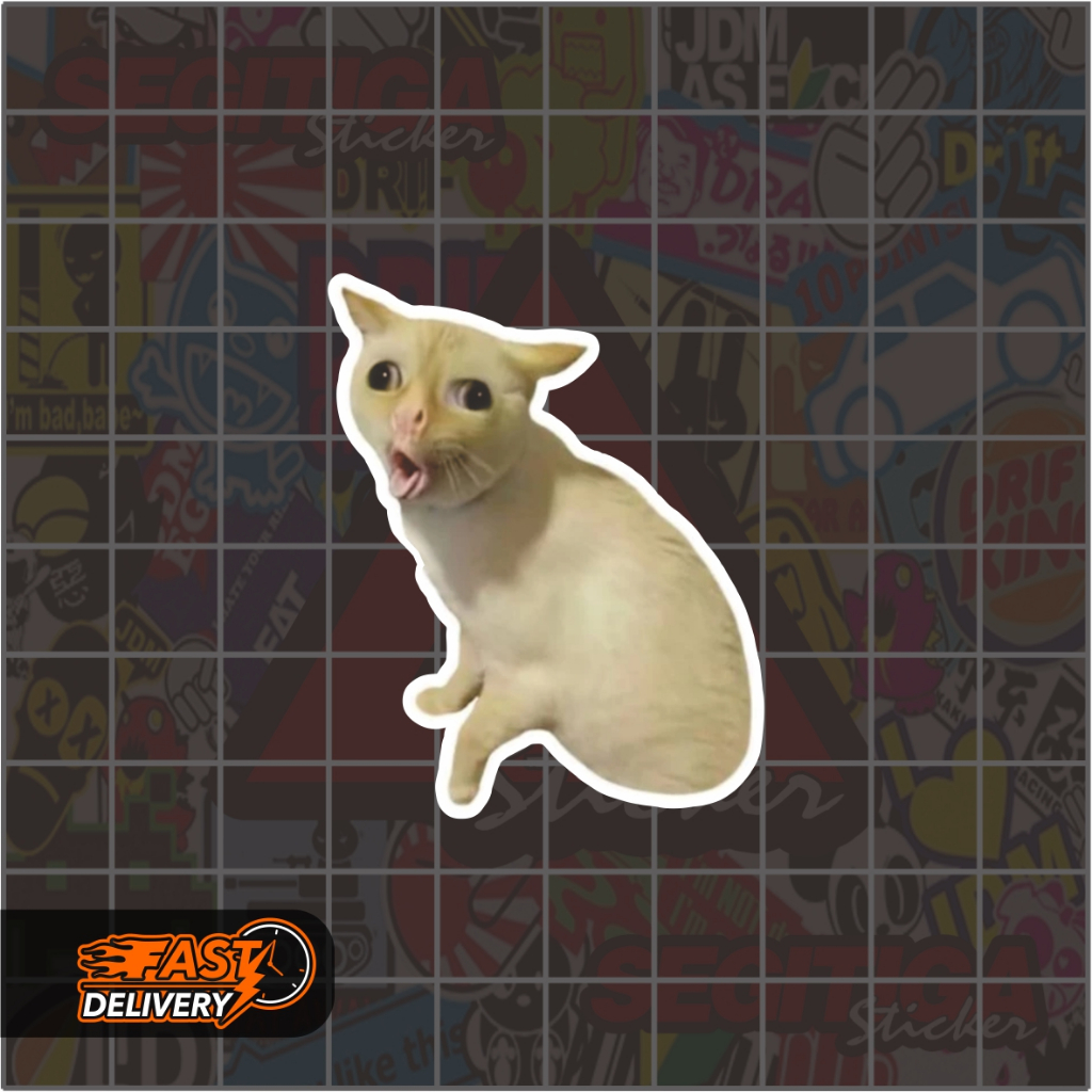 

Sticker Meme Kucing Muntah Ukuran 4 x 5 Cm