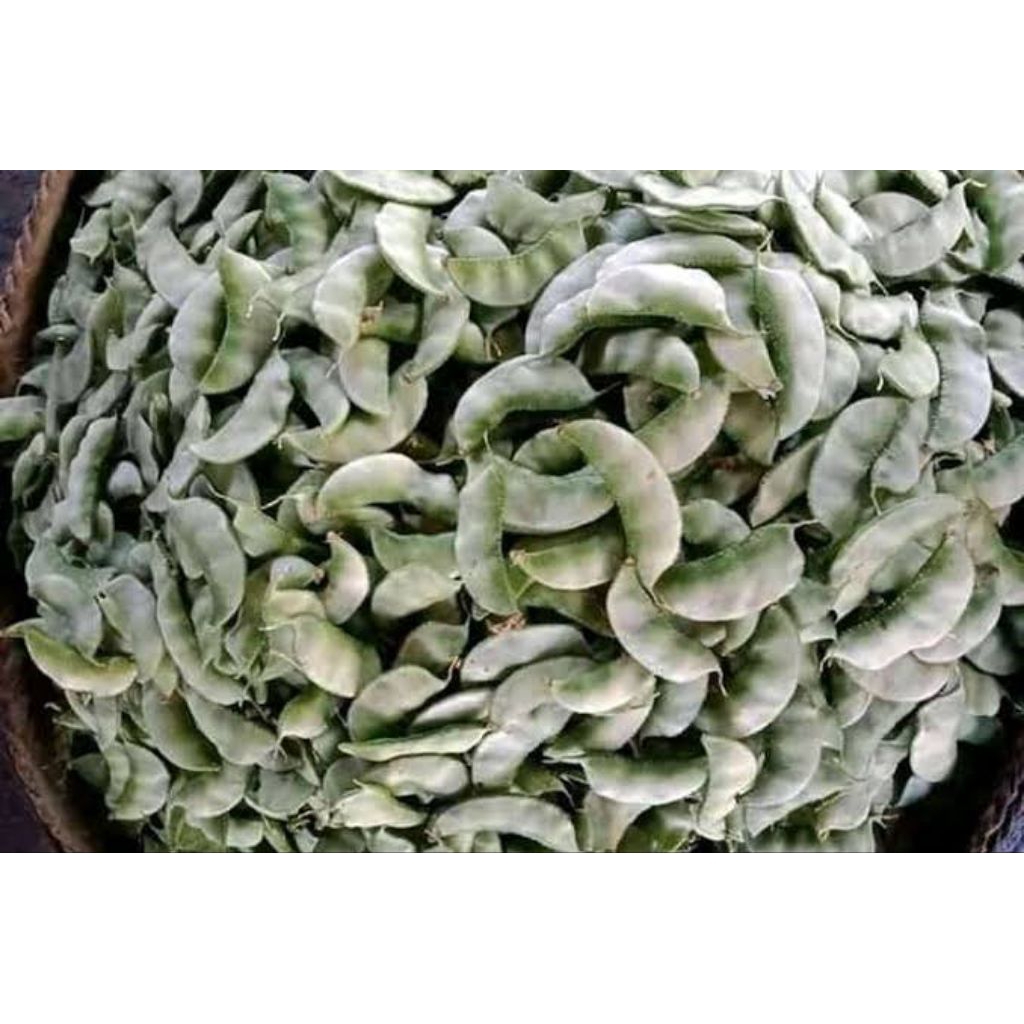 

sayur kacang komak/ koro biji putih 500gram