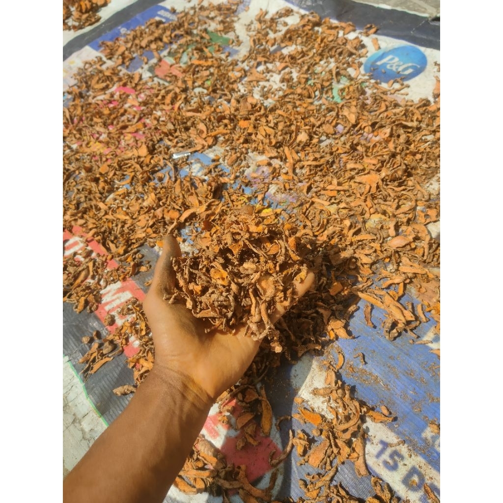 

kunyit kering kualitas super