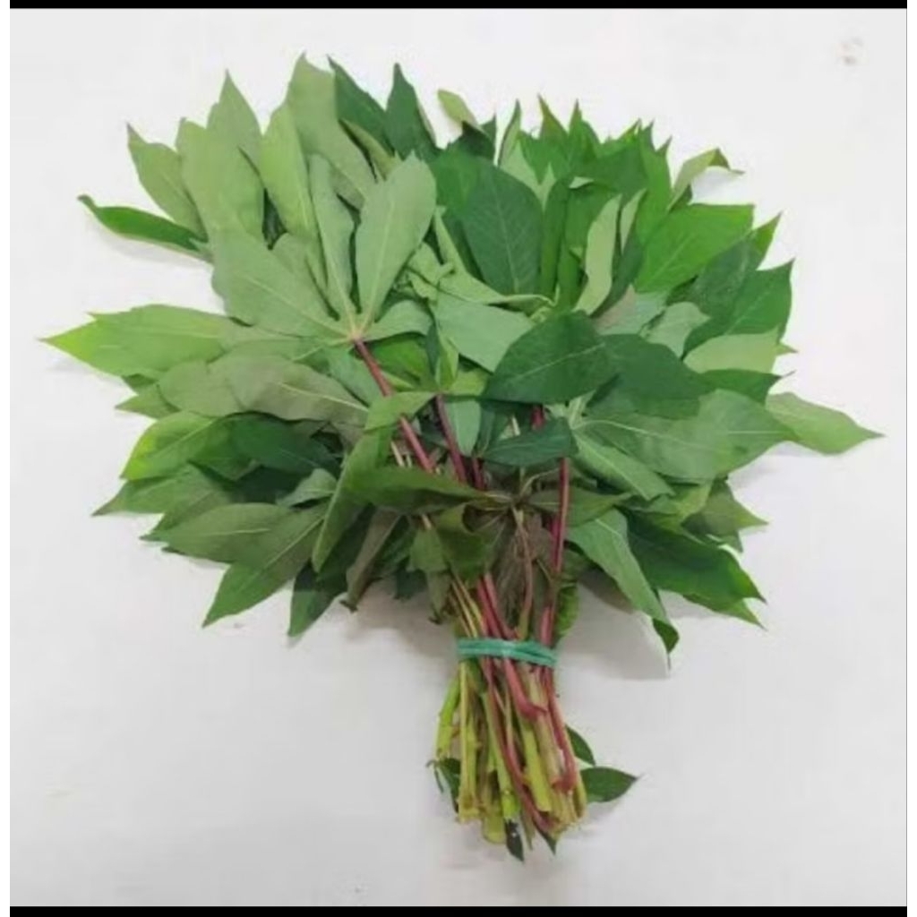 

Daun singkong segar 1 iket 300 gram