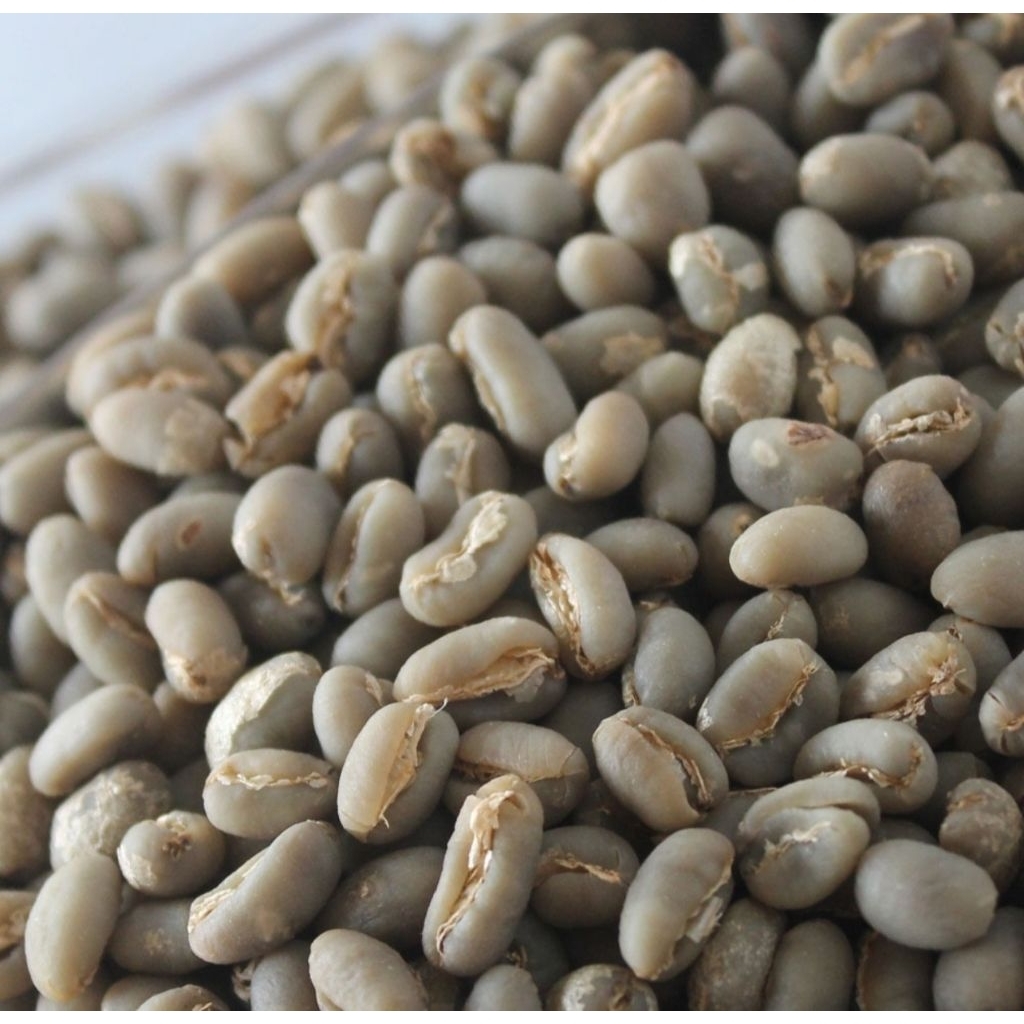 

Kopi Gayo Peaberry Grean Beans/Biji Mentah 100% Arabika Gayo 1kg Aradoor coffee