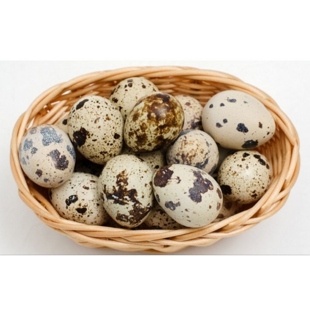 

Telur puyuh perpack isi 10 butir