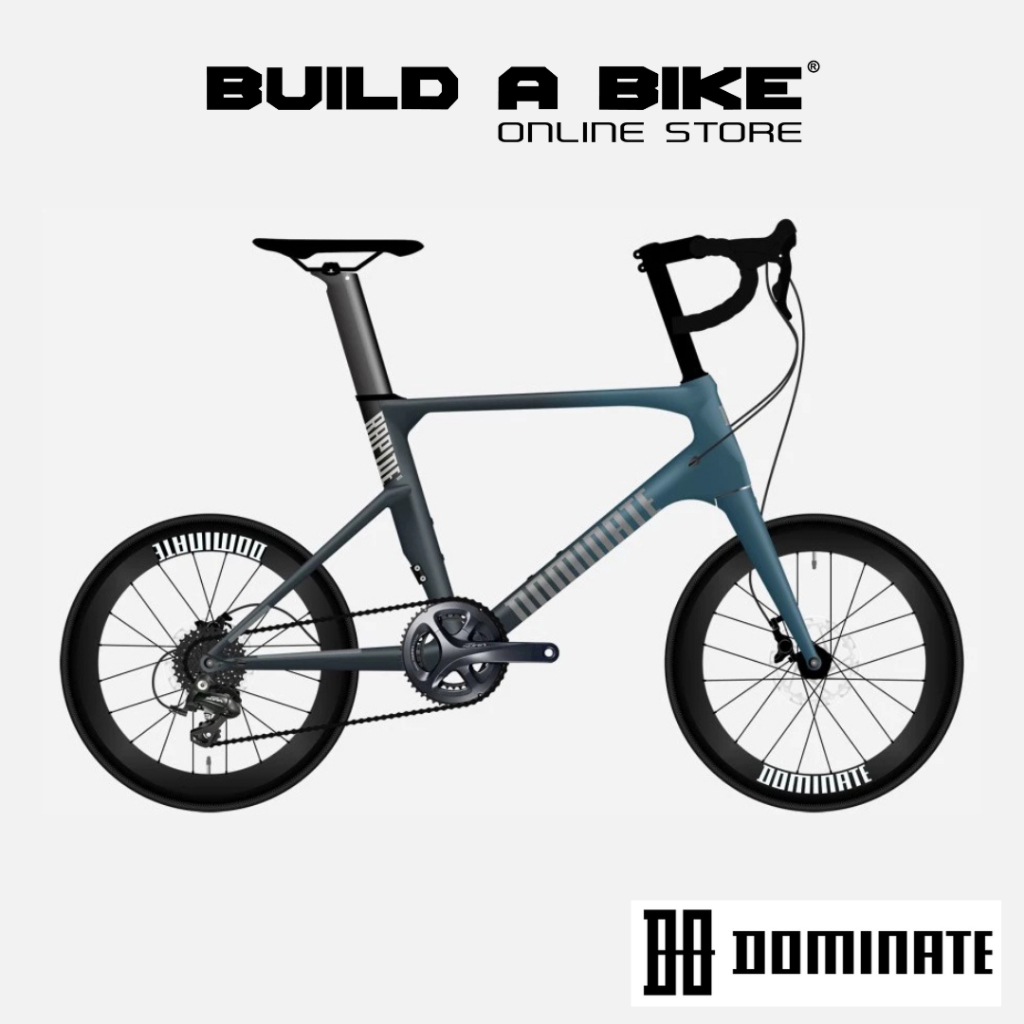 Sepeda Carbon Mini Velo DOMINATE RAPIDE ELITE