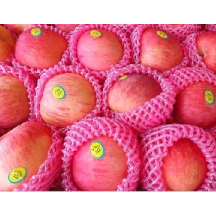 

Apel Fuji murah
