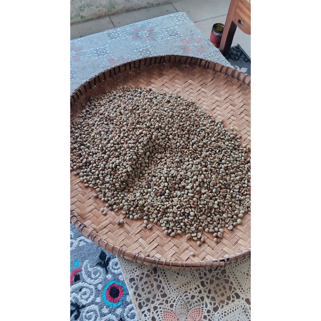 

Robusta Coffe B