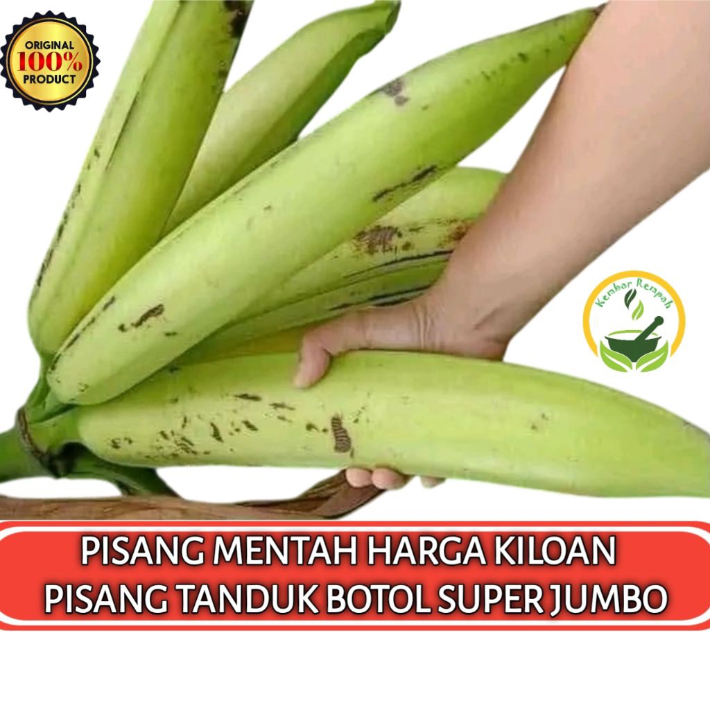 

Pisang Mentah 1 Kilogram PISANG TANDUK BOTOL JUMBO ORGANIK