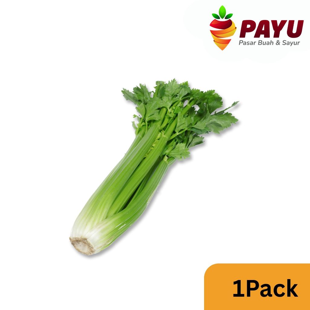 

PAYUFRESH | Seledri Stick Import / Celery Stick [1 Pack] 100% Fresh