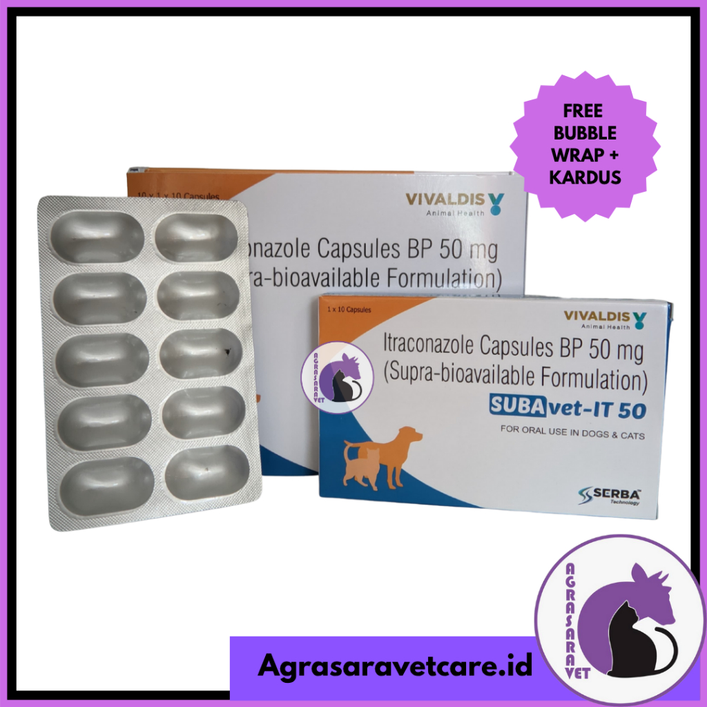 Itraconazole 50mg Vivaldis 1 BOX ( ISI 100 TABLET) - Obat Jamur Khusus Untuk Anjing Dan Kucing Ampuh