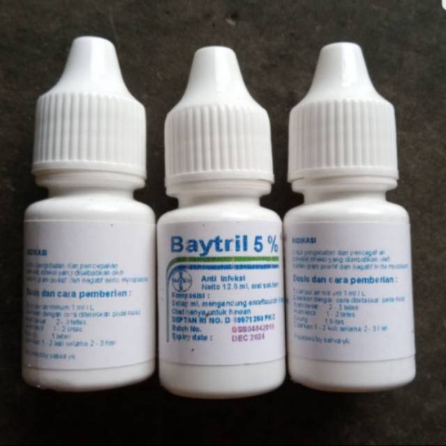 1btol baytril 5% - obat infeksi unggas - obat infeksi kucing - antibiotik unggas - antibiotik kucing