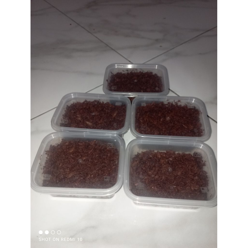 

ABONCAKALANG