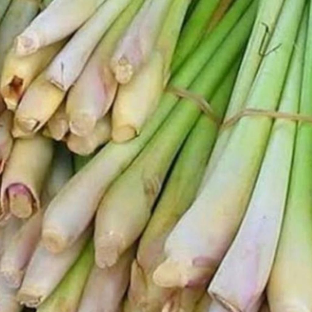 

sereh seger untuk bumbu dapur per 500gram