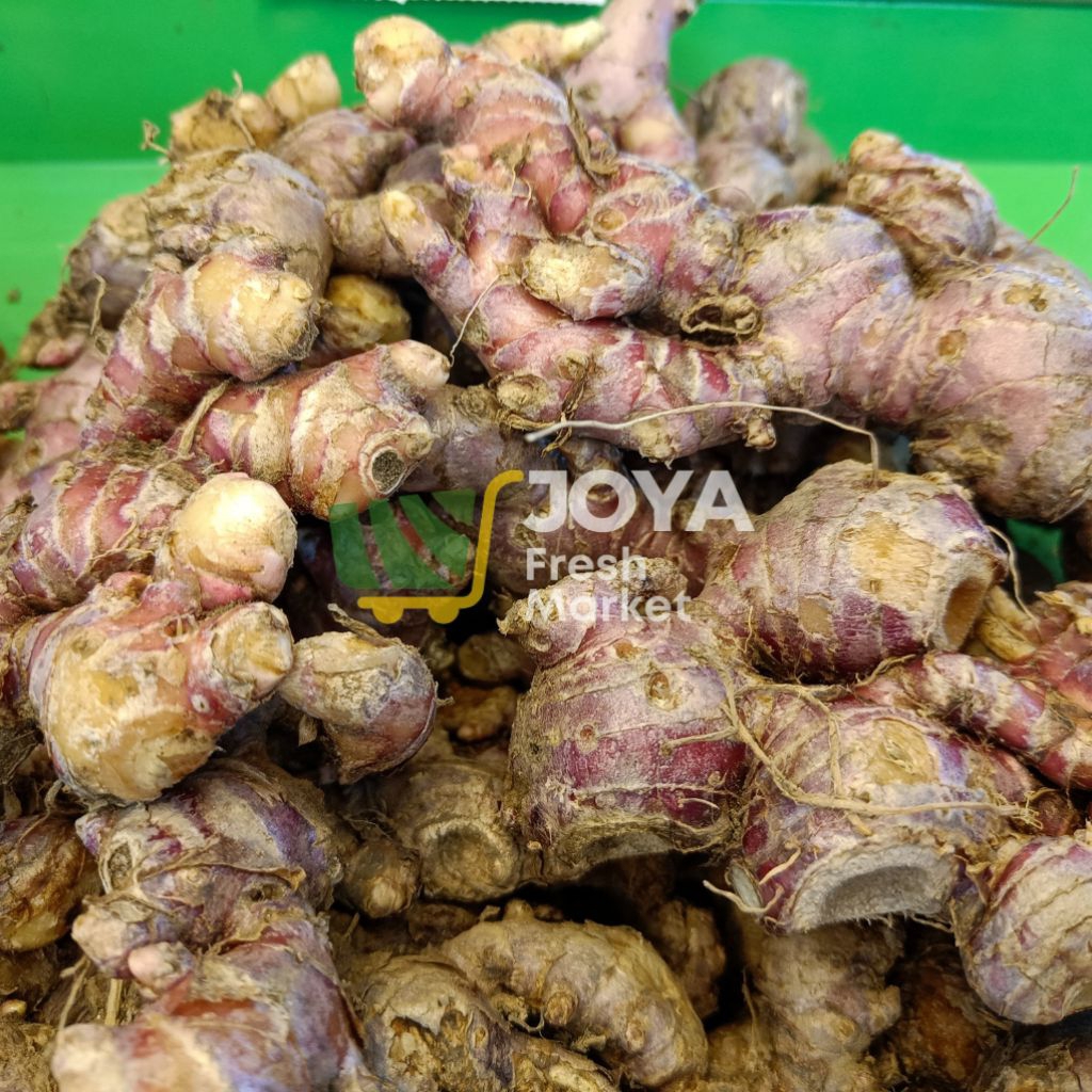 

Joya Fresh - Jahe Merah Segar/Jahe Merah Obat/Jahe Bandrek/Rempah Segar