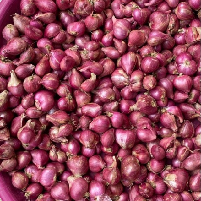 

BAWANG MERAH SUPER PROBOLINGGO DIJAMIN KERING MERAH MERONA