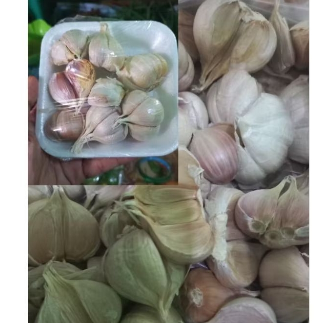 

BAWANG PUTIH KATING