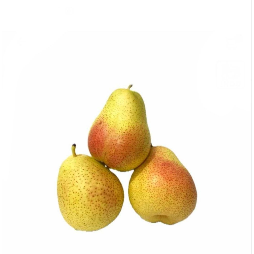 

pear corella