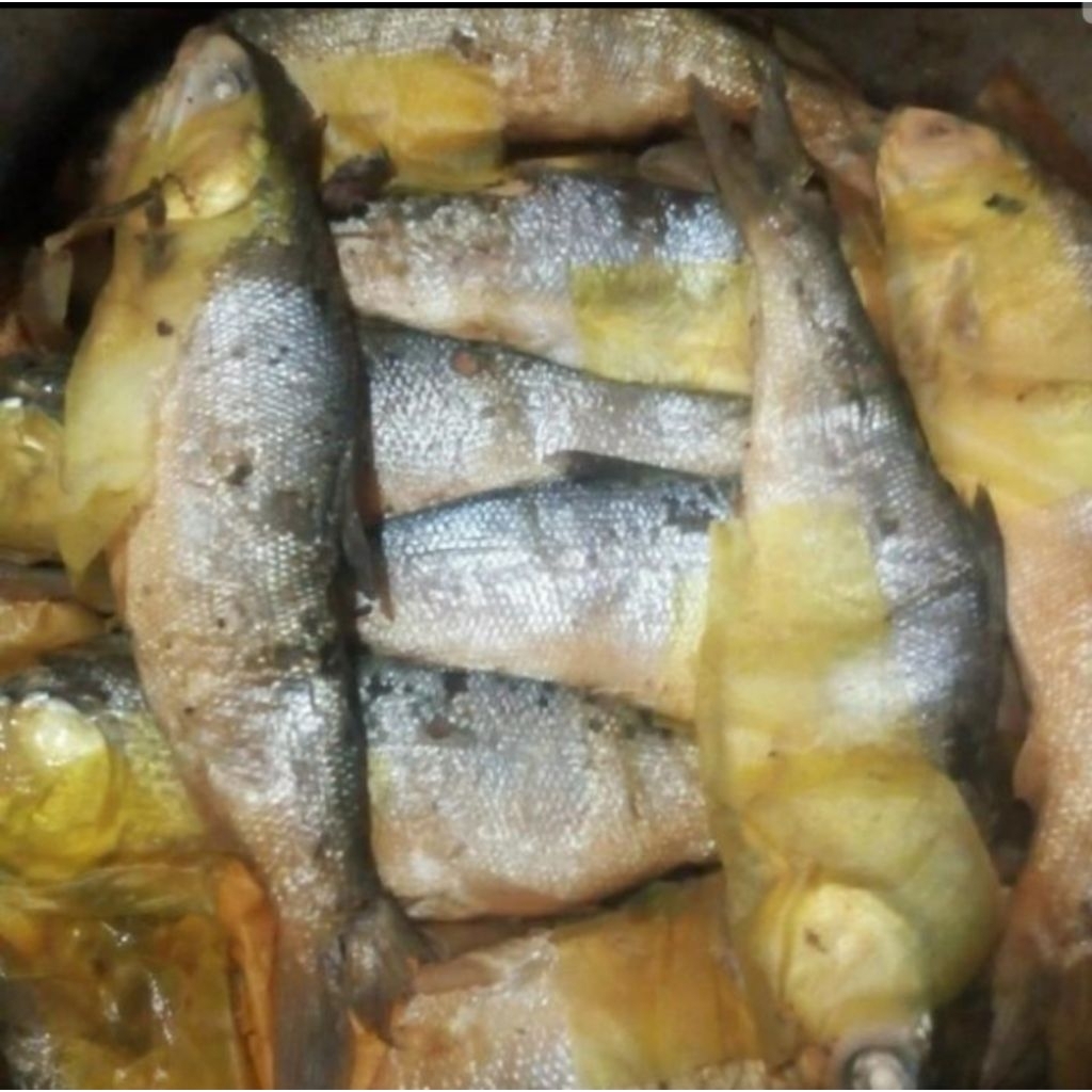 

Pindang bandeng per ekor