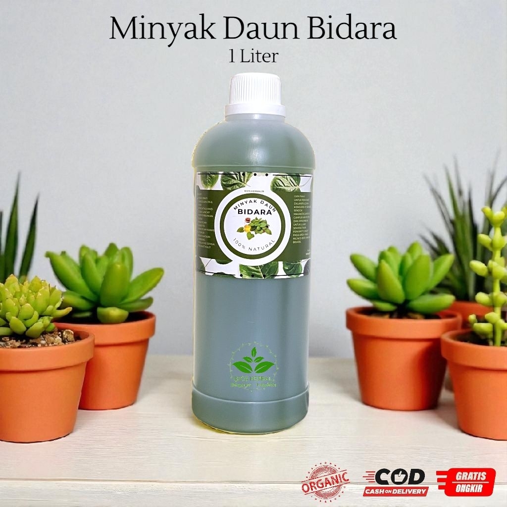 

Minyak Daun Bidara Murni 1 Liter